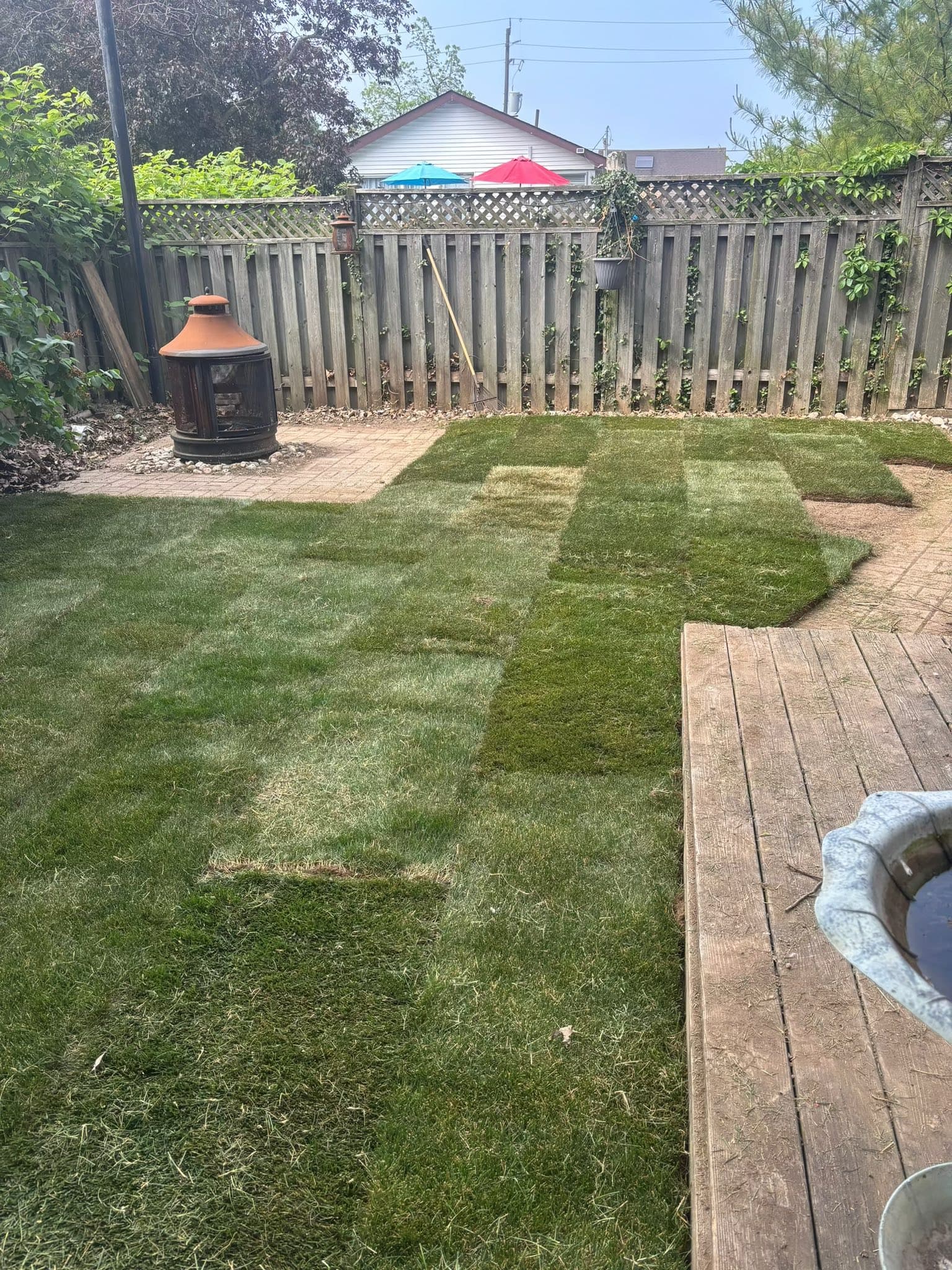 Fresh sod laid across a backyard by RFB Landscaping