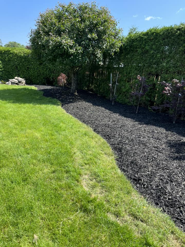 Fresh black mulch beds with trees and a trimmed green lawn